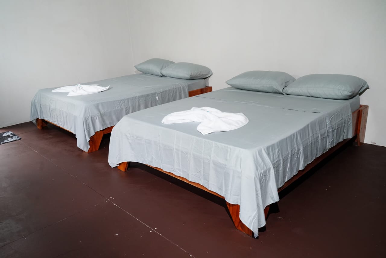 Double Room - Armadillo - Gallery image of eco-friendly accommodation at Rio Verde Eco Lodge