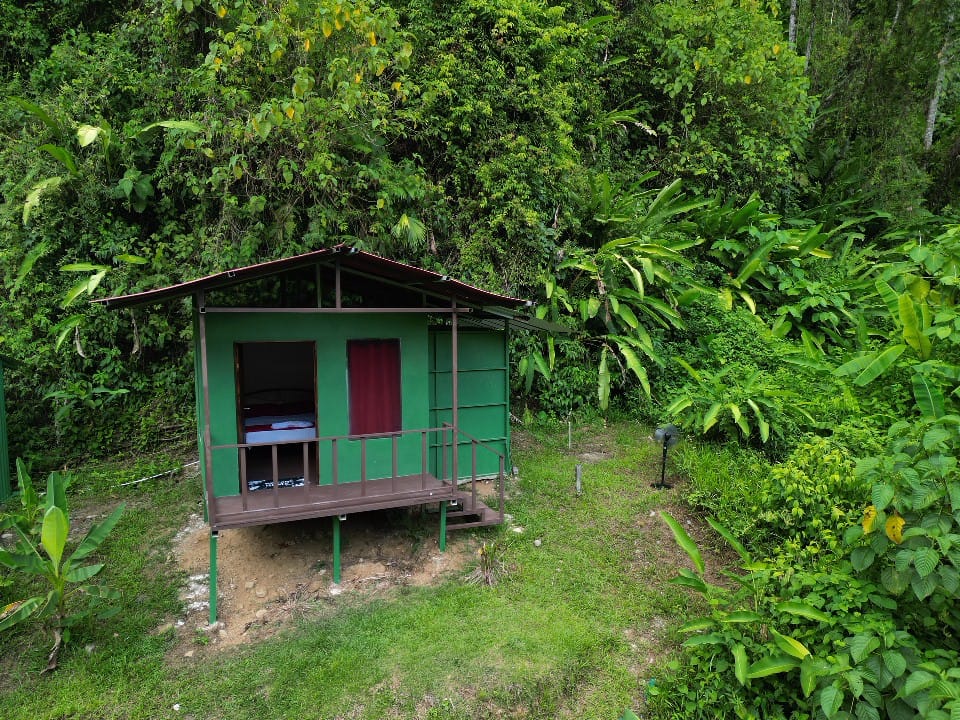 Single Room – La Purruja - Gallery image of eco-friendly accommodation at Rio Verde Eco Lodge