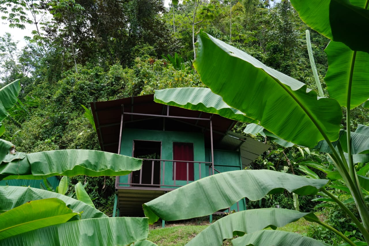 Single Room – La Purruja - Gallery image of eco-friendly accommodation at Rio Verde Eco Lodge