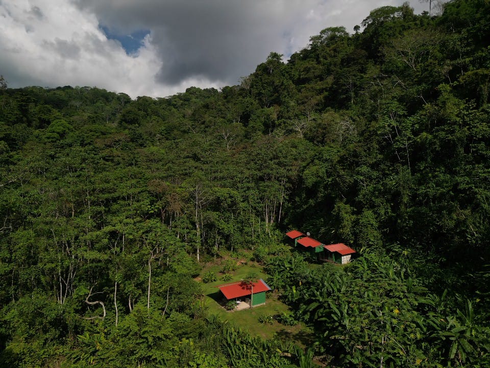Double Room - Armadillo - Gallery image of eco-friendly accommodation at Rio Verde Eco Lodge