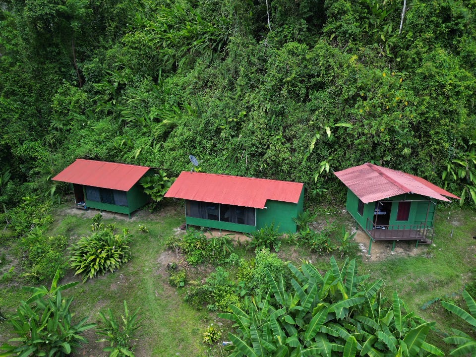 Double Room - Armadillo - Gallery image of eco-friendly accommodation at Rio Verde Eco Lodge
