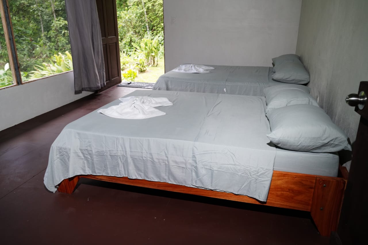 Double Room - Armadillo - Eco-friendly accommodation at Rio Verde Eco Lodge, Costa Rica