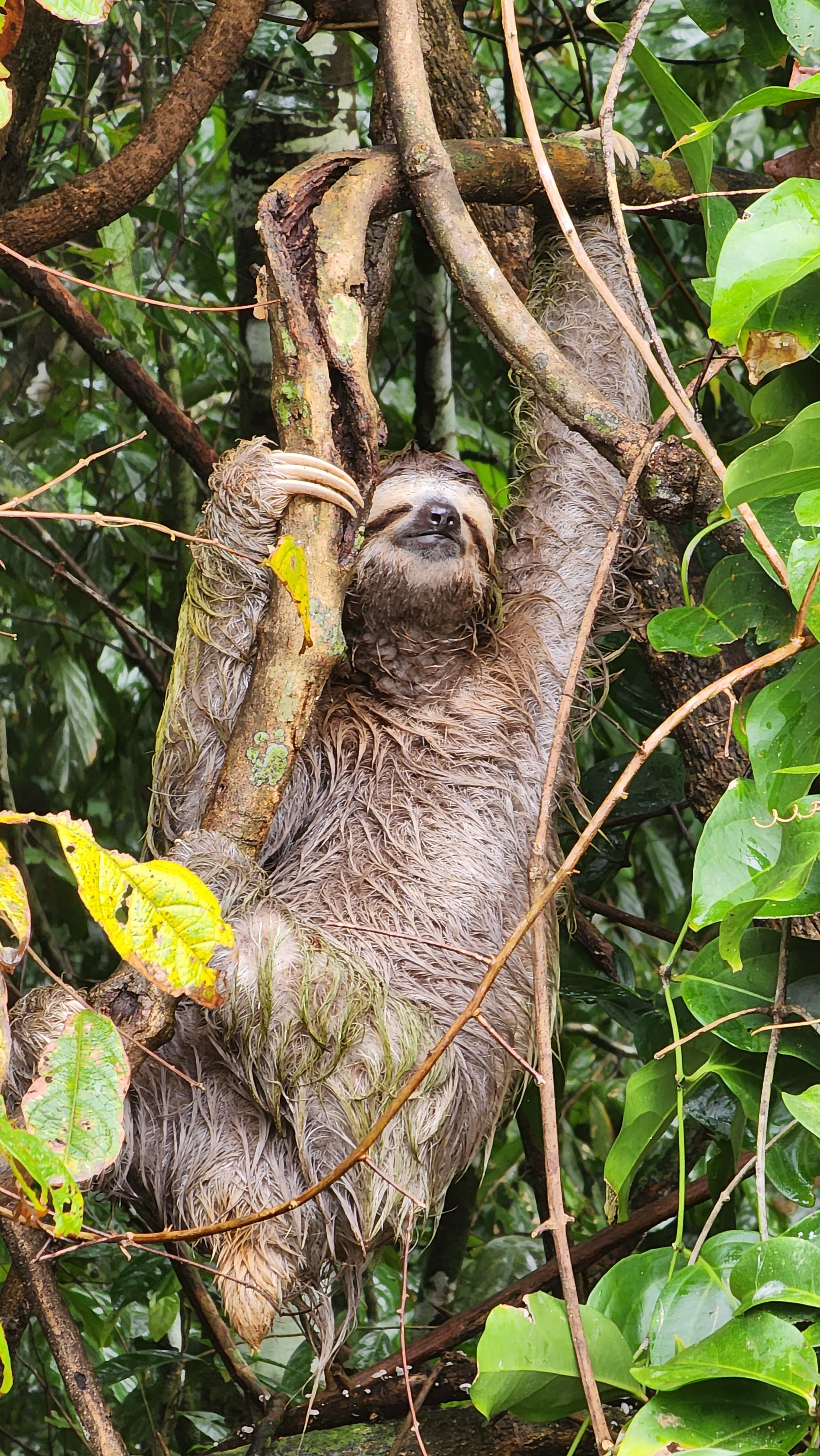 Sirena Corcovado one day from Drake Bay