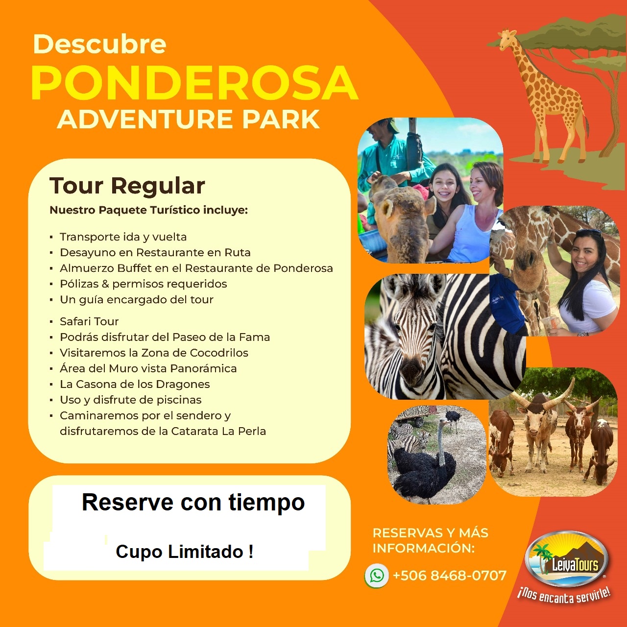 Imagen del tour