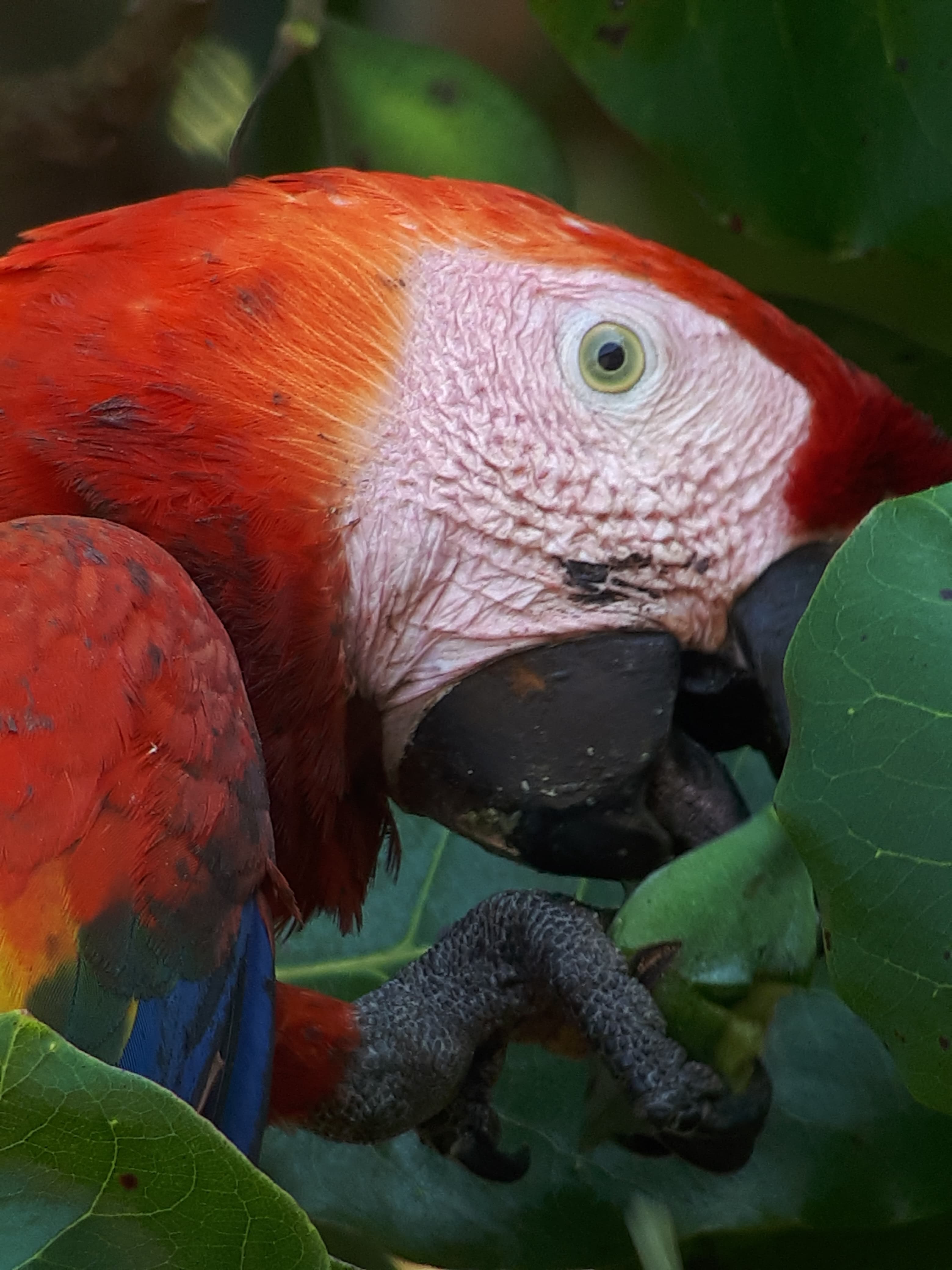 La Leona Nature Tour