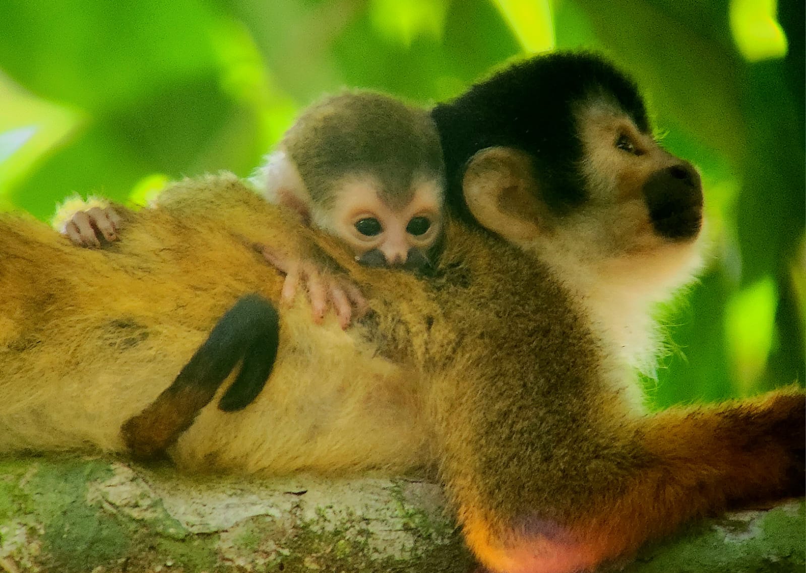 Tour Full Expedition One Day