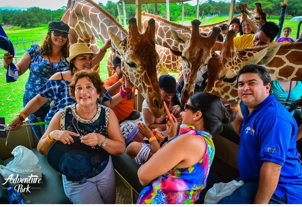 Ponderosa Adventure Park - Full Day