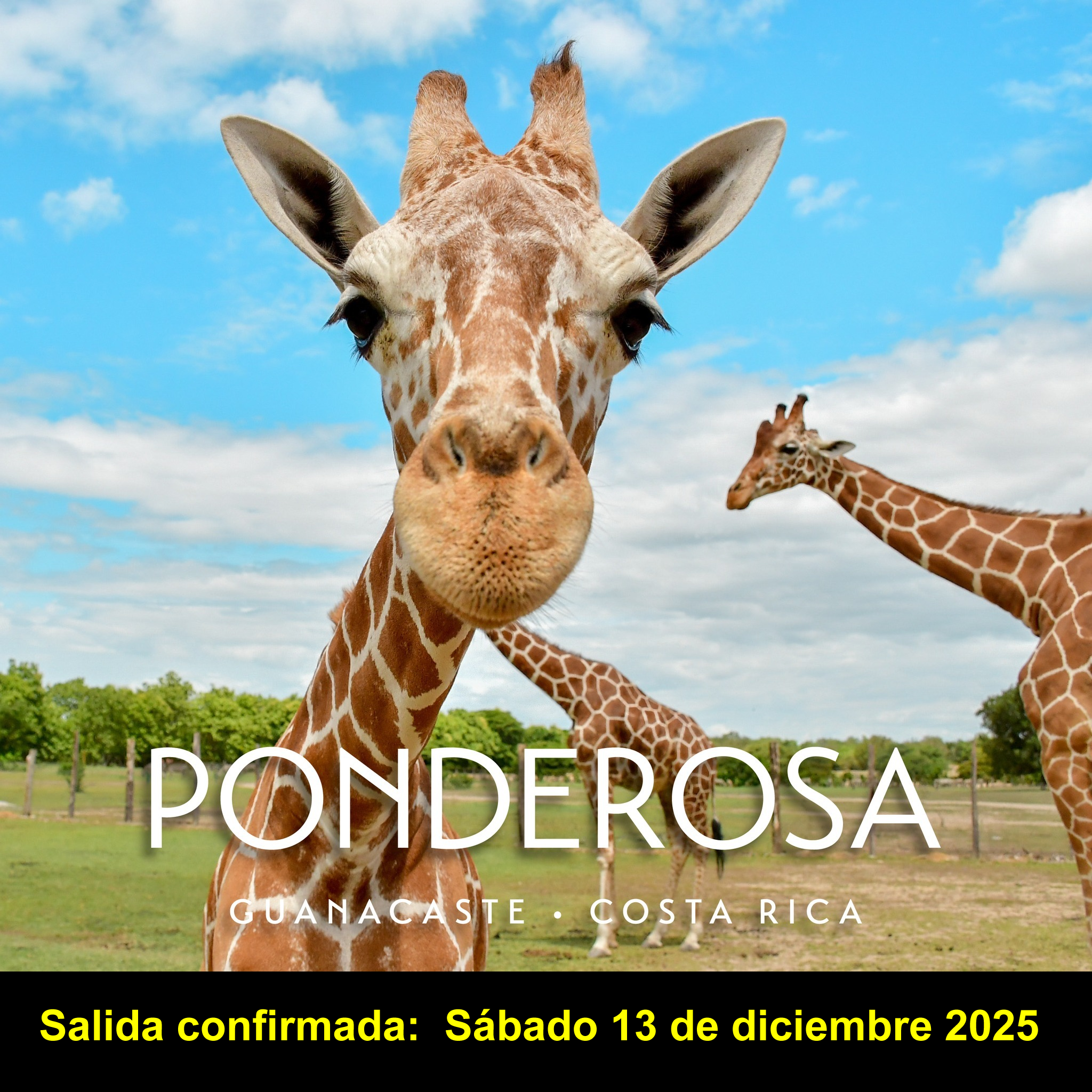 Oferta 13 diciembre 21 Aniversario