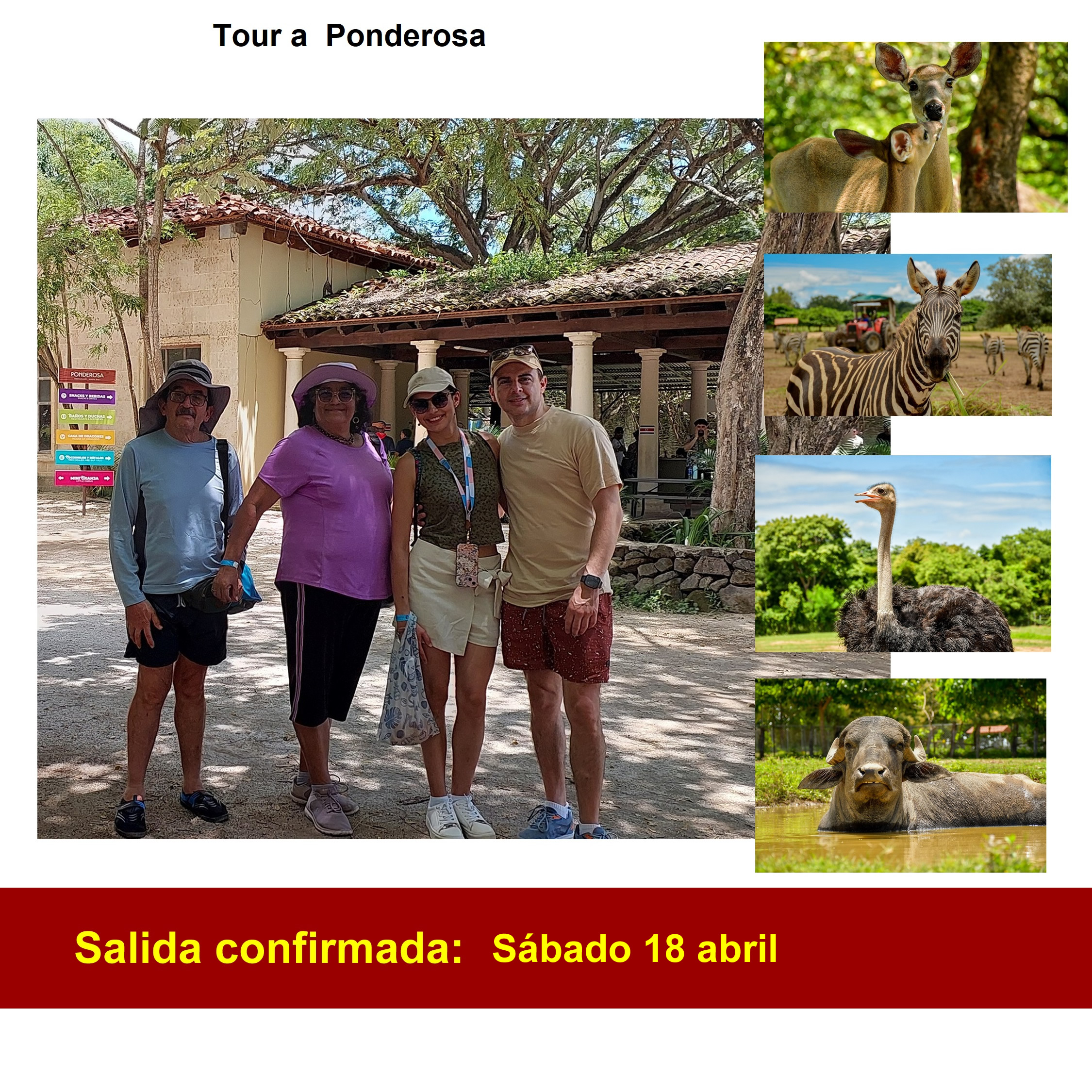 Promocional Ponderosa Costa Rica Sabado 18 abril